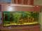 akwarium z szafką 230l ( np na terrarium)