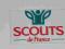 SCOUTS FRANCE- NAKLEJKA - Pamiątka z lat 80-tych