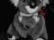 MAMA MIS KOALA z dzieckiem AUSTRALIA 19 SLODKI