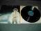 JOHN MILES-Wyd.DECCA