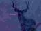 Cold Body Radiation-Deer |DIGI| emperor satyricon