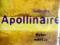 Guillaume Apollinaire wybór wierszy twarda oprawa