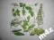 serwetka serwetki decoupage
