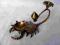 Świcznik mosiężny w kształcie skorpiona