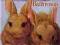 ANIMAL ARK - LUCY DANIELS- BUNNIES IN THE BATHROOM