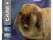 BEAPHAR CARE+ Senior Rabbit 1,5kg dla królika W-WA