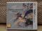 Fire Emblem Awakening 3DS