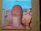 TOE FAT (pre-URIAH HEEP) - TOE FAT (1)- VINYL NOWY