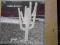 INDIAN SUMMER - INDIAN SUMMER - LP NOWY AKARMA