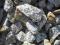 Tłuczeń granitowy Luboń Komorniki kostka granit