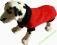 Ubranko dla psa - sweter dla psa lub kota