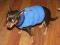 UBRANKO DLA PUPILA KAMIZELKA OCIEPLANA DLA PIESKA