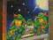 Teenage Mutant Hero Turtles Sky High