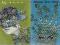 pocztówki RYBY + WODNIK znaki zodiaku Gajewska