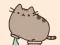 I am Pusheen the Cat - Claire Belton *WRO
