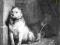 PAVLOV'S DOG Pampered Menial 180g