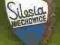 Silesia  Miechowice - starsza emalia