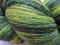 estońska włóczka 2 ply,  green yellow 400m/100g