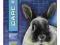 BEAPHAR CARE+ RABBIT, królik - 1,5kg +GRATIS! Wawa