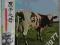 Pink Floyd - Atom Heart Mother, obi, Japan
