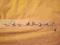WALENTYNKI  BRANSOLETKA Z SERDUSZKAMI NA REKE