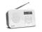 Radio ALBA TRDAB2810 kolor bały