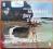 Psy z Rygi - Henning Mankell AUDIOBOOK BCM