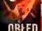 Erik Axl Sund - Obłęd (audiobook)