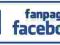 SKUTECZNE PROWADZENIE FANPAGE FACEBOOK,LIKE 14 DNI