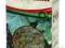 Liść Porzeczki 50g zdrowa herbatka ekologiczna