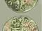 Węgry denar Zygmunta Luksemburskiego 1387-1437