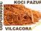 KOCI PAZUR 100 GR  VILCACORA ODPORNOŚĆ