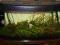 Akwarium 112L zestaw + filtr zewnętrzny + szafka