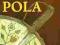 OKAZJA podręcznik RPG Dzikie Pola 1 edycja