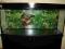 Akwarium 300 L z szafką i akcesoriami