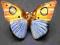 Motyl porcelanowy...Ens / Volkstedt