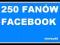 FanPage 250 Fanów Facebook Real Fani ! GWARANCJA !
