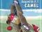 Samolot Sopwith P.1 CAMEL - model kartonowy MM
