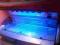 Solarium Ergoline Evolution 500 idealne