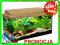 AQC255 ZESTAW Akwariowy 60x30x30 Prosty BUK+GRATIS