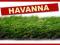 Sztuczna trawa Havanna 30mm 400cm ! ogród !