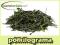 China Sencha od PÓŁKILOGRAMA - GRATISY