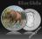 BIZON KANADA 2013 SREBRO KOLOR 1 OZ ETUI