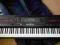 Keyboard Casio WK-110