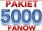 Facebook 5000 FANÓW NA TWÓJ FAN PAGE PROMOCJA 24h