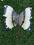ORYGINALNY  WIESZAK - KOLOROWY MOTYL