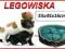 LEGOWISKA KANAPKA DLA PIES KOT 55x45x16cm 43 WZORY