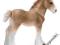 SCHLEICH 13671 ŹREBIĘ RASY CLYDESDALE