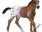 SCHLEICH 13733 ŹREBAK APPALOOSA