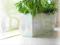 DONICZKA Z SYSTEMEM NAWADNIANIA 40x15x18 cm DONICA